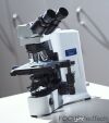 OLYMPUS BX41TF Microscope