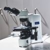 OLYMPUS BX41TF Microscope