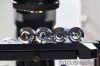 OLYMPUS BX41TF Microscope