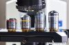 OLYMPUS BX41TF Microscope