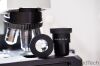 OLYMPUS BX41TF Microscope