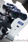 OLYMPUS BX41TF Microscope