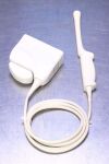 PHILIPS Endocavital Ultrasound Transducer