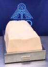 ACDET PT Patient Simulator