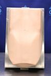 ACDET PT Patient Simulator