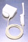 PHILIPS Endocavital Ultrasound Transducer