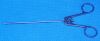 V. MUELLER OS 5524 Forceps