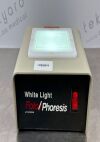 FOTODYNE 1-1700 Light Source