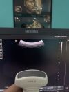 SIEMENS/ACUSON CH5-2 Ultrasound Transducer