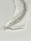 COVIDIEN Lot of 22  Shiley Hi-Lo Oral/Nasal  86454   Exp.2025-03 & 2027-02 (B16 ) Shiley Hi-Lo Oral/Nasal