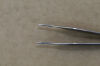 CARNEGIE 06-25-62E Surgical  Adson-Brown Tissue Forceps