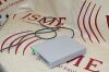 OLYMPUS OTV-SC Video system Digital Signal Processing