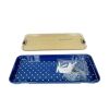 V. MUELLER SU2995-020 Endoscopic Tray With Pin Set 22 X 8-1/4 X 1-3/4” Surgical Cases
