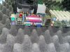 Spectrum Medical Intel Mboard E210882 , Green, N232, For Medical BEPs, D865GBF / D865PERC Intel Motherboard E210882 , Green, N232, For Medical BEPs, D865GBF / D865PERC Shared Service