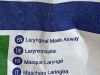 TELEFLEX Lot of 2 Laryngeal Mask Airway  105300-000030   Exp.2026-01  (N29) Laryngeal Mask Airway