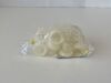 NALGENE Lot of 72 Straight-Side wide-Mouth Jar  2118-0001 (Y68) Straight-Side wide-Mouth Jar