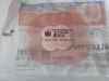 SMITH & NEPHEW Lot of 7 Allevyn Life  66801067  Exp.2024-09  (J23) Allevyn Life