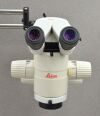 LEICA MZ12.5 Binocular Stereo Zoom Microscope on Diagnostic Instruments Stand - 190887 Microscope