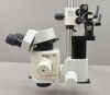 LEICA MZ12.5 Binocular Stereo Zoom Microscope on Diagnostic Instruments Stand - 190887 Microscope