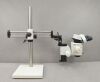 LEICA MZ12.5 Binocular Stereo Zoom Microscope on Diagnostic Instruments Stand - 190887 Microscope