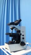 OLYMPUS CH30 Microscope