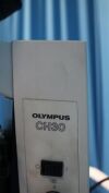 OLYMPUS CH30 Microscope