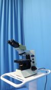 OLYMPUS CX31 Microscope