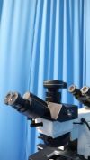 OLYMPUS BX50 Microscope