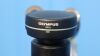 OLYMPUS BX50 Microscope