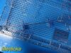 INTUITIVE SURGICAL Intuitive Surg 400498 DaVinci Xi/X System 8mm Intuitive Surgical 400498 DaVinci Xi/X System 8mm Endoscope Sterilization Tray