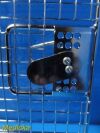 INTUITIVE SURGICAL Intuitive Surg 400498 DaVinci Xi/X System 8mm Intuitive Surgical 400498 DaVinci Xi/X System 8mm Endoscope Sterilization Tray