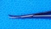 ASSI SDCT18RV Scissors