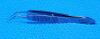 STORZ E2002 Forceps