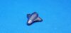 DEPUY 950502021 Instrument