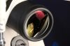 TOPCON 50 Fundus Camera