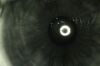 TOPCON 50 Fundus Camera