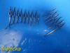 CODMAN 15X  Classic V.Muller Pilling SKLAR Assorted STR/CVD Bulldog Clamps