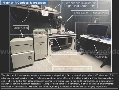 NIKON U2944 Microscope