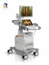 ACUSON/SIEMENS Redwood ultrasound system