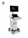 GE Logiq Totus Ultrasound - OB / GYN