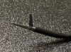SNOWDEN-PENCER 88-5091 EndoForehead Ramirez Scissors B