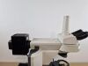 NIKON eclipse 80i fluorescence microscope with plan fluor objectives Microscope