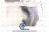 PHILIPS 1120918 | | CASE OF 10 | RESPIRONICS AF541 Face Masks - AF541 Face Mask with CapStrap, EE Leak 1 Elbow, Size XL