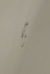 MIDMARK 153592-003 UltraComfort Dental Chair W/ Dental Light 153584-001 - 192219 Dental Chair