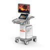 SIEMENS ACUSON S3000