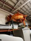 PHILIPS Achieva 3.0T MRI Scanner