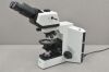 LAXCO LMC4-BF315 Trinocular Upright Clinical Hematology Microscope w/ 3W LED - 193418 Microscope