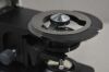 LAXCO LMC4-BF315 Trinocular Upright Clinical Hematology Microscope w/ 3W LED - 193418 Microscope