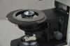 LAXCO LMC4-BF315 Trinocular Upright Clinical Hematology Microscope w/ 3W LED - 193418 Microscope