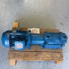 POMPETRAVAINI USA TRHE40-110/C/RX Vacuum Pump